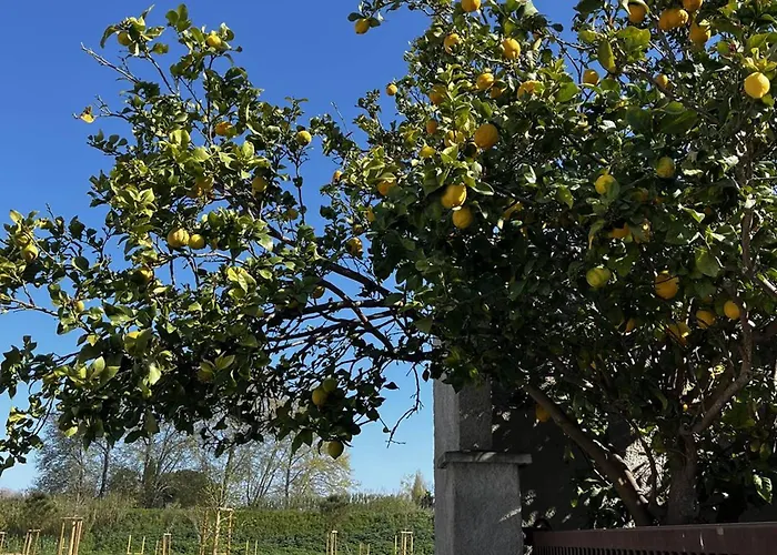 בית נופש Maison Moderne Avec Cour Privee Et Parking Securise - Fr-1-696-83